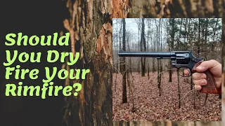 Should You Dry Fire Your Rimfire?