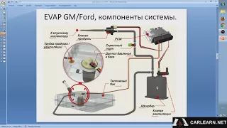 EVAP система GM/Ford, устройство, особенности, диагностика.