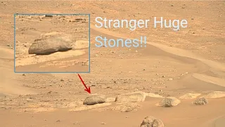 Mars In 4k || Mars Perseverance Rover SOL 419 || Mars Stranger Rocks and Stones Land