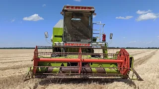 CLAAS DOMINATOR 58S Уборка продолжается