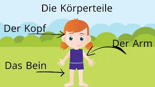 Die Körperteile auf Deutsch /The Body Parts in German / اجزاء الجسم باللغة الالمانية