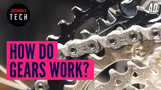 How Do Mountain Bike Gears Actually Work? | Bicycle Gears Explained