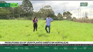 Produtores do DF usam plantio direto em hortaliças l AgroMais