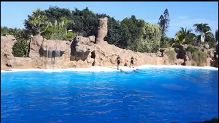 AMUSEMENT PARK/LORO PARQUE/CITY TRIP SPAIN