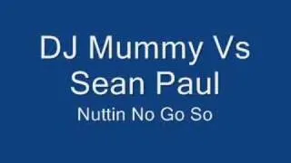 Dj Mummy Vs Sean Paul - Nuttin No Go So (Remix)