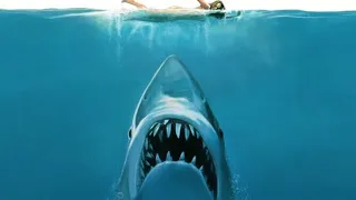 JAWS Unleashed Mission 2 : The Breakout