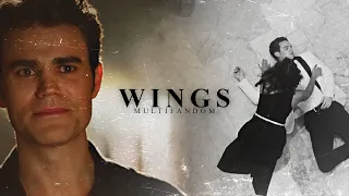 wings. [1K]