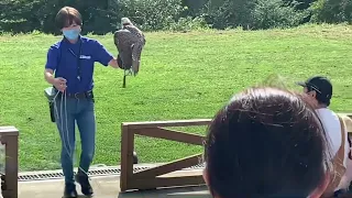 Amazing Birds of Nasu