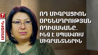 ՌԴ միգրացիոն օրենսդրության ոդիսականը. ինչ է սպասվում միգրանտներին