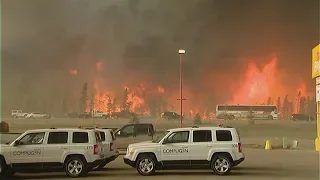 Indigenous communities neglected during Fort McMurray fire: report