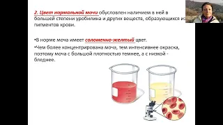 Лабораторно инструментальные методы исследования почек и мочевыводящих путей