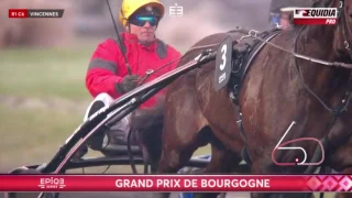 Grand Prix De Bourgogne 2017 - Bold Eagle (Frank Nivard)