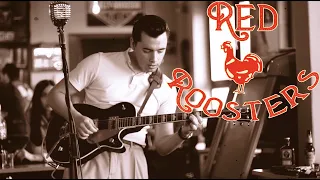 Red Roosters - Where The Rio De Rosa Flows ft. Dániel Balázs (Official Video)(Jimmy Lloyd cover)
