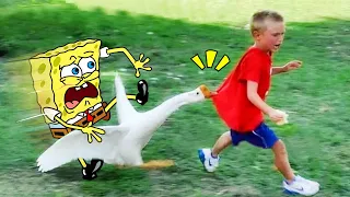 Best Of Funny Fails Videos Compilation - Spongebob in Real Life | Woa Doodland