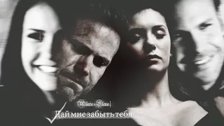 Alaric +Elena |Дай мне забыть тебя