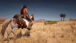 NATIVE AMERICAN Gameplay in Red Dead Redemption 2 PC ✪ Vol 20