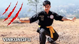 Lão Hổ Thượng Sơn - Võ Cổ Truyền #1 | Vinkungfu