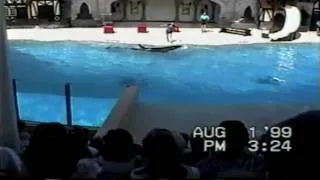 Vol 2 (9/11) Marineland Canada 1999 - The Sea Lion & Killer Whale Show