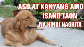 ASO AT KANYANG AMO| after 1year na hindi nila pagkikita.