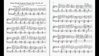 I made an octave study after Chopin's Butterfly Etude