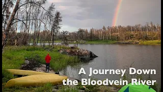 The River that Gives Life: Paddling the Bloodvein River