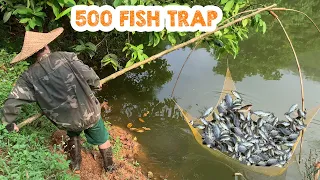 Catch 500 Fish in 10 Minutes - The Ultimate Challenge