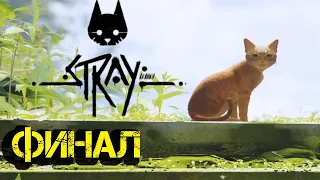 #9 НЕМНОГО ГРУСТНЫЙ ФИНАЛ ● Stray | Прохождение без комментариев | PS5