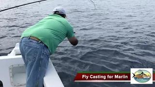 Fly Casting for Marlin Phil