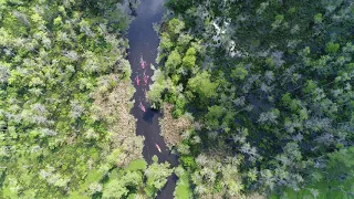 Manchac Swamp Tour by Guided Kayak Tour