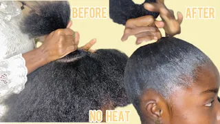 Sleek High Ponytail On Thick Natural  Hair ( type 4)/ NO HEAT/ NO FLAKES #sleekponytail #haircare