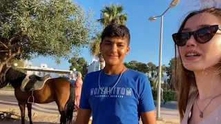 Bodrum Bitez Akvaryum Koyu at gezisi ve eşsiz manzarası 🐎