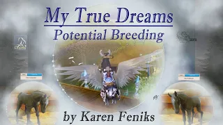 Alicia Online Breeding: My True Dream and Challenge|Potentials