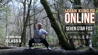 Learn Kung Fu Online | Qi Xing Quan Class 8 | Seven Star Fist | Free Kung Fu Classes | Live Kung Fu