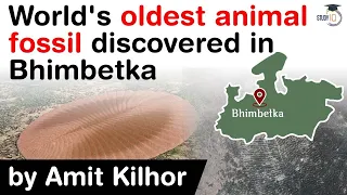 World's oldest animal fossil discovered in Bhimbetka, India & Australia were evolutionary neighbours