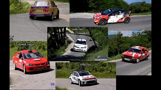 rally Vipavska dolina 2024 - Slovenija