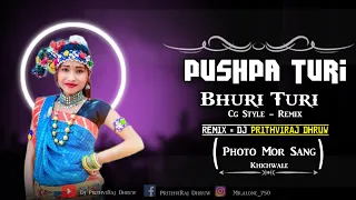 Pushpa Turi Bhuri Turi || Photo Mor Sang Khichwa  Le || Dj Remix Prithviraj Dhruw || Cg Song Dj ||