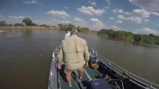 Hippo Attack Tanzania