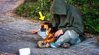 Vet Refuses To Help Homeless Man's Dog, Days Later Something Shocking Happens!