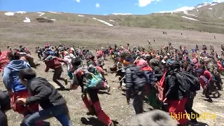 run for yarsagumba || Nepal || dolpa || lajimbudha ||