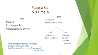 Parathyroid gland - By Prof. Hosam Farouk Elsrogy