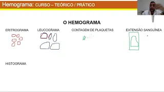 CURSO DE INTERPRETAÇÃO DE HEMOGRAMA | PARTE 01 (ERITROGRAMA)