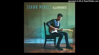 Shawn Mendes - Treat You Better (B95)