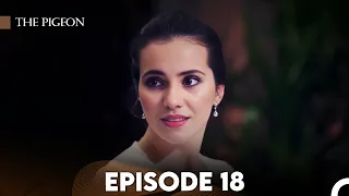 The Pigeon Episode 18 (FULL HD)