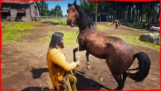 Red Dead Redemption 2 Free Roam Random gameplay Adventures with John Marston #14