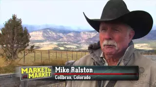 Cattle buyer works to build herds out West