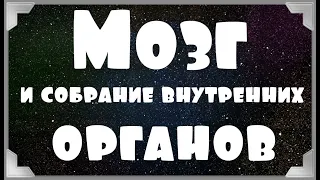 Анекдот. Мозг и собрание внутренних органов. Анекдот про.