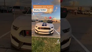 Shelby Gt350 / ¿El único mustang que sabe curvear?