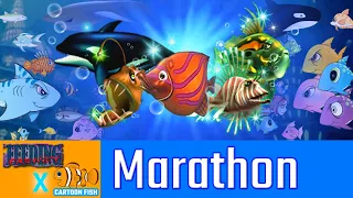 Feeding Frenzy X Cartoon Fish mod Gameplay - Full Episode (Marathon)