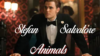 Stefan Salvatore - Animals