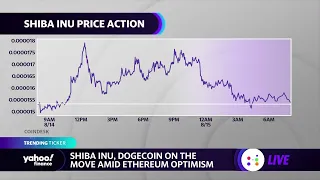 Crypto: Dogecoin, Shiba Inu pop on ethereum momentum